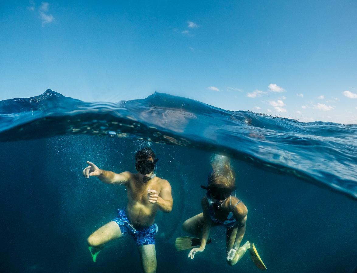 Manta Lodge & Scuba Centre Point Lookout Esterno foto