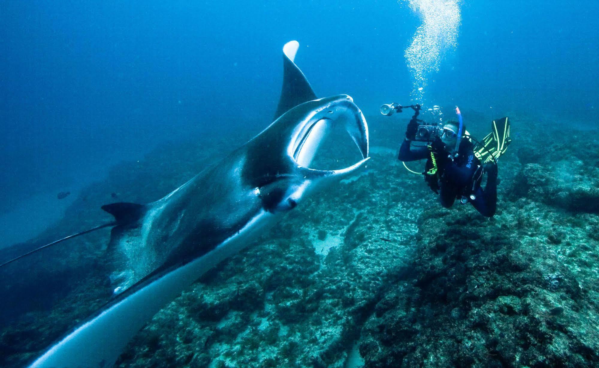 Manta Lodge & Scuba Centre Point Lookout Esterno foto